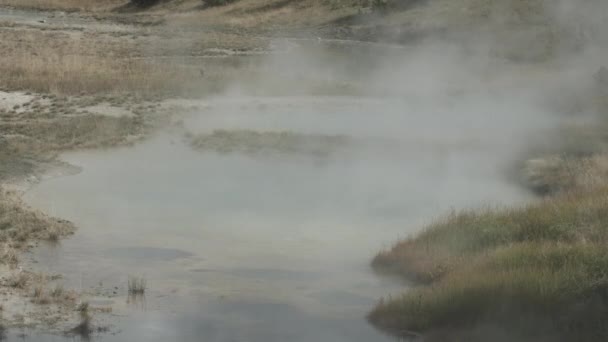 Dampende Plas Yellowstone National Park Amerika — Stockvideo