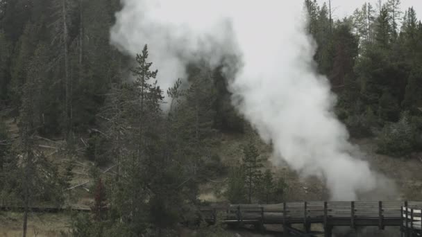 Fumarole Parque Nacional Yellowstone América — Vídeos de Stock