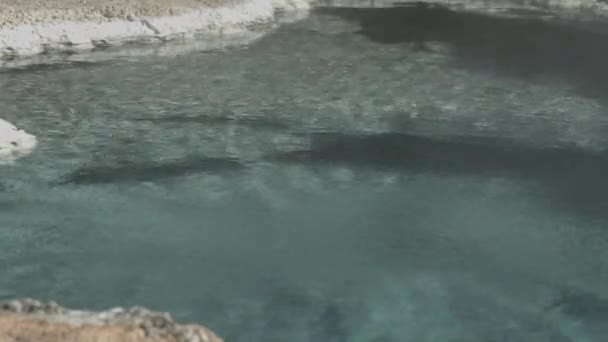 Piscina Calda Nel Parco Nazionale Yellowstone — Video Stock