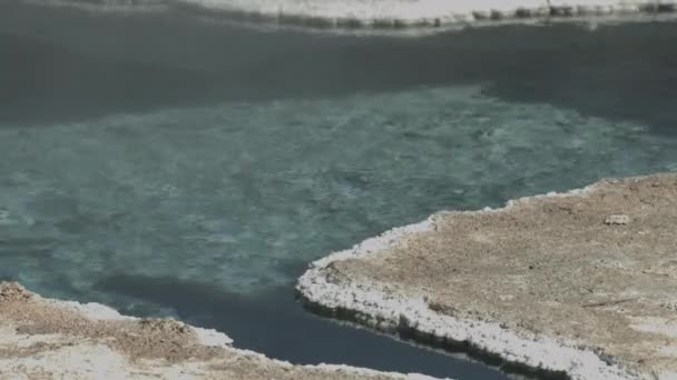 Termas Parque Nacional Yellowstone — Vídeo de stock