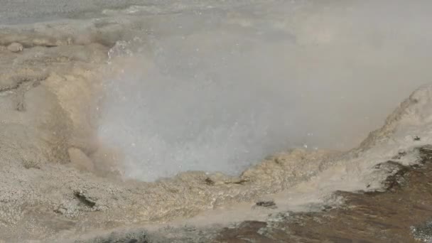 Piscina Caliente Parque Nacional Yellowstone — Vídeo de stock