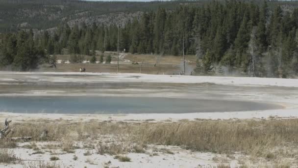 Piscina Caliente Parque Nacional Yellowstone — Vídeo de stock