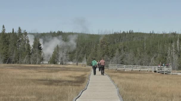 Les Gens Marchent Sur Une Promenade — Video