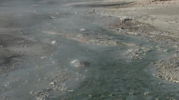 Corriente Caliente Parque Nacional Yellowstone — Vídeo de stock