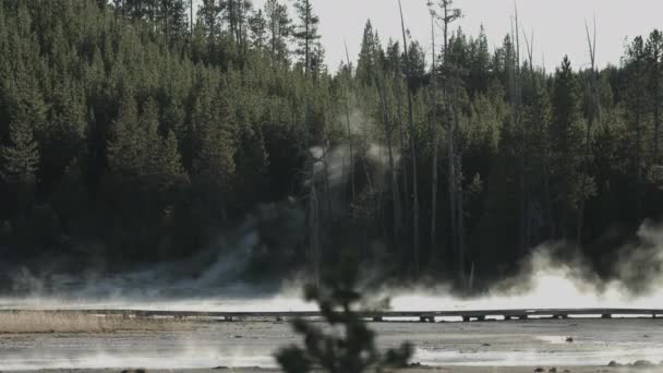 Piscina Calda Vicino Una Foresta Nel Parco Nazionale Yellowstone — Video Stock