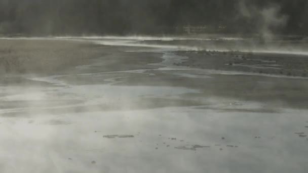 Piscine Vapeur Dans Parc National Yellowstone — Video
