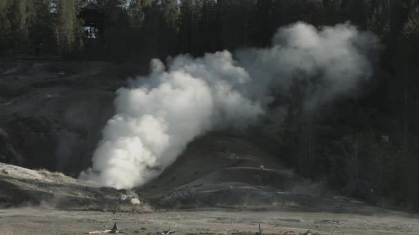 Steam Vent Rising Yellowstone National Park — Stock Video