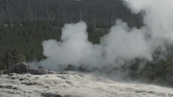 Gőzfürdő Yellowstone Nemzeti Parkban — Stock videók