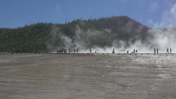 Yellowstone National Park Verenigde Staten — Stockvideo