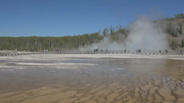 Geyser Yellowstone Nemzeti Parkban — Stock videók