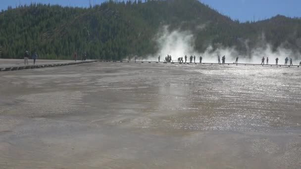 Άνθρωποι Περπατούν Στο Εθνικό Πάρκο Yellowstone — Αρχείο Βίντεο