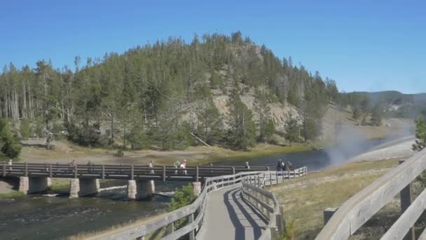 Parc National Yellowstone Amérique — Video