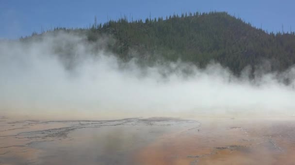Tavasz Yellowstone Nemzeti Parkban — Stock videók