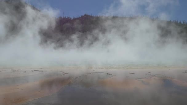Άνοιξη Στο Εθνικό Πάρκο Yellowstone — Αρχείο Βίντεο