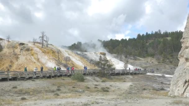 Personas Que Visitan Parque Nacional Yellowstone — Vídeos de Stock