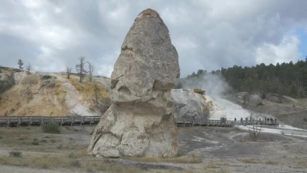 Geyserite Stone Yellowstone National Park — Stock Video