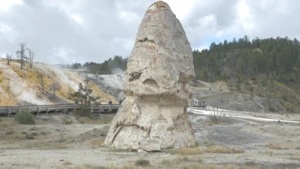 Pierre Parc National Yellowstone — Video