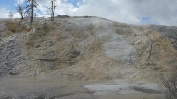 Μεταλλικοί Σχηματισμοί Στο Εθνικό Πάρκο Yellowstone — Αρχείο Βίντεο