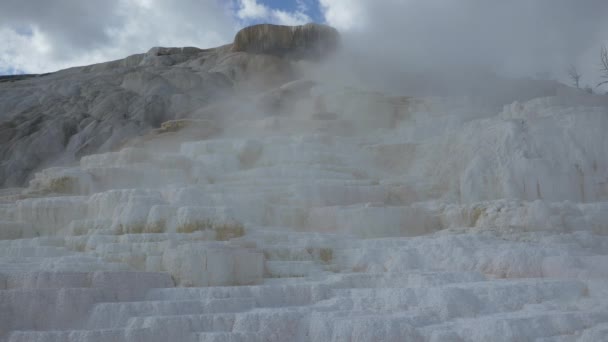 Steaming Mineral Formations Yellowstone National Park — Stock Video