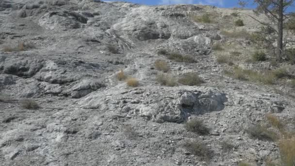 Mineralformationer Yellowstone National Park — Stockvideo