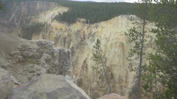 Όμορφη Θέα Στο Εθνικό Πάρκο Yellowstone Αμερική — Αρχείο Βίντεο