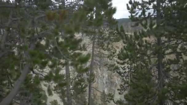 Όμορφη Θέα Στο Εθνικό Πάρκο Yellowstone — Αρχείο Βίντεο
