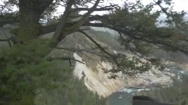 Bella Vista Sul Fiume Yellowstone — Video Stock