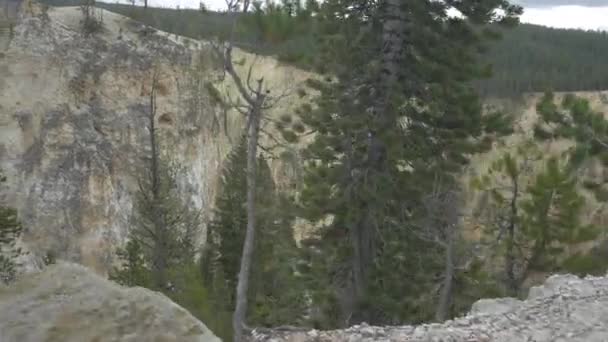 Canyon Parco Nazionale Yellowstone — Video Stock