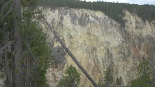 Yellowstone Ulusal Parkı Ndaki Kanyon Köyü Bölgesi — Stok video