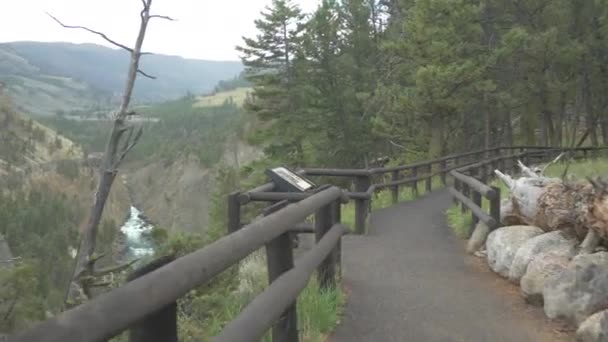 Ścieżka Pobliżu Doliny Yellowstone — Wideo stockowe