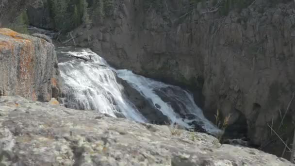 Waterval Bij Yellowstone National Park — Stockvideo
