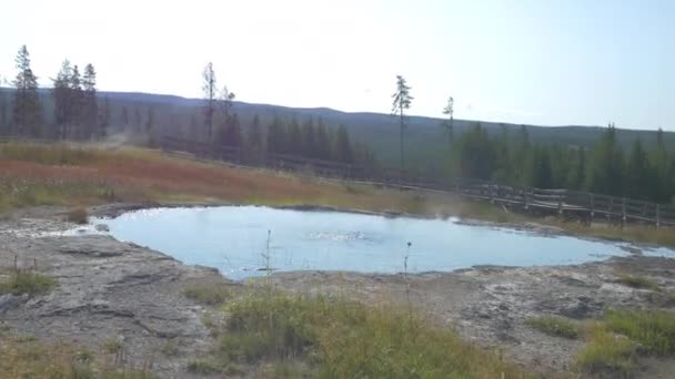 Warm Zwembad Het Yellowstone National Park — Stockvideo