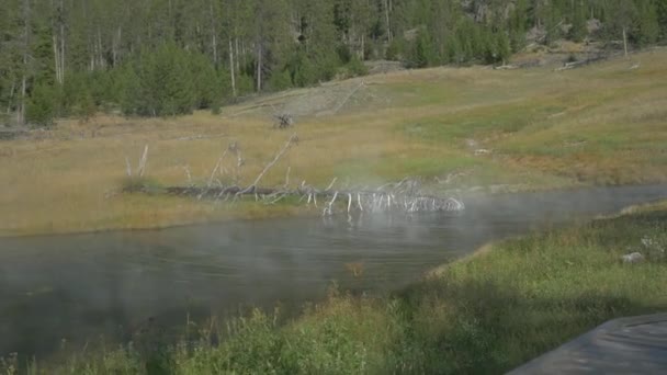 Steaming Water Yellowstone National Park — Stock Video