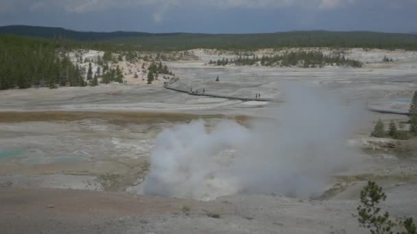 Fumarole Στο Εθνικό Πάρκο Yellowstone — Αρχείο Βίντεο