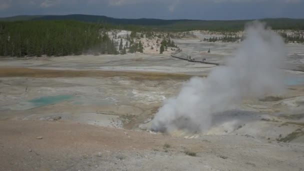 Fumarole Yellowstone National Park — Stock Video