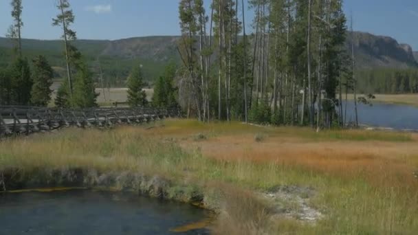 Λιβάδι Στο Εθνικό Πάρκο Yellowstone — Αρχείο Βίντεο