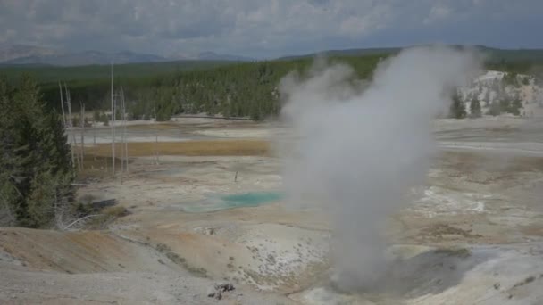 Yellowstone Nemzeti Park Amerika — Stock videók
