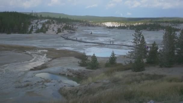 Parco Nazionale Yellowstone America — Video Stock