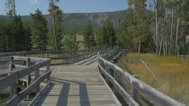 Promenada Parku Narodowym Yellowstone — Wideo stockowe