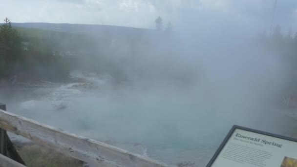 Emerald Spring Yellowstone National Park — Stock Video