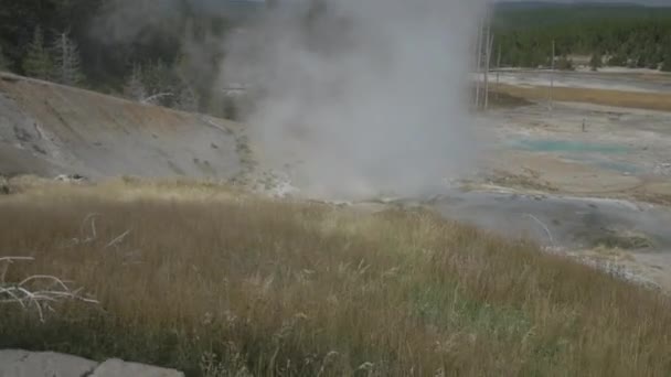 Ånga Vid Yellowstone National Park — Stockvideo