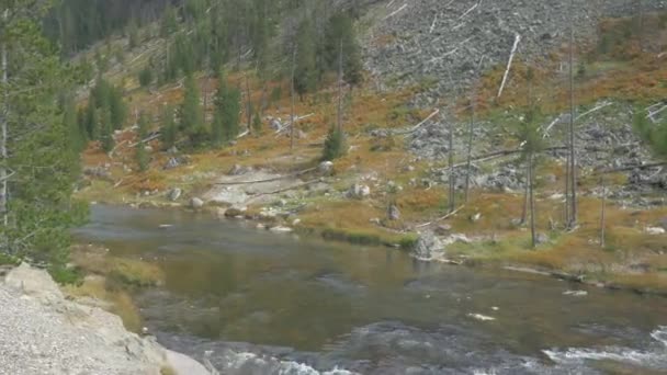 Ποταμός Yellowstone Στο Εθνικό Πάρκο Yellowstone — Αρχείο Βίντεο
