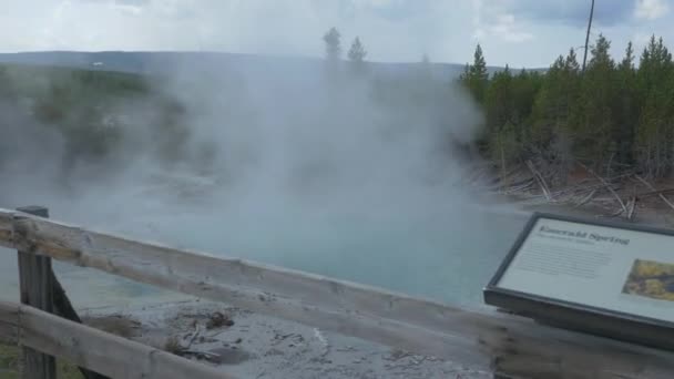 Emerald Spring Yellowstone National Park — Stock Video