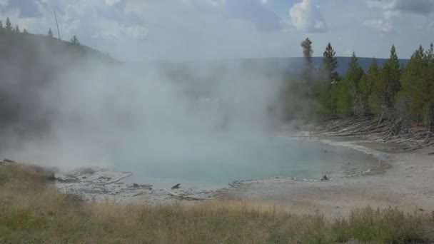 Steaming Emerald Spring Yellowstone National Park — Stock Video
