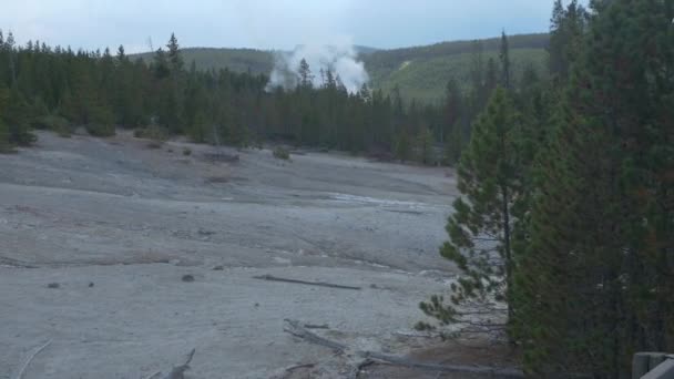 Drooggevallen Gebied Het Yellowstone National Park — Stockvideo