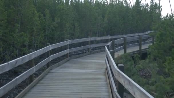 Promenáda Yellowstonském Národním Parku — Stock video