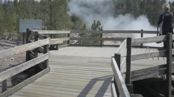 Termas Parque Nacional Yellowstone — Vídeo de stock
