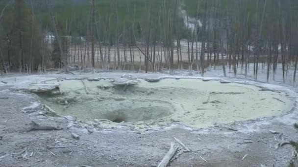 Primavera Della Cisterna Parco Nazionale Yellowstone — Video Stock