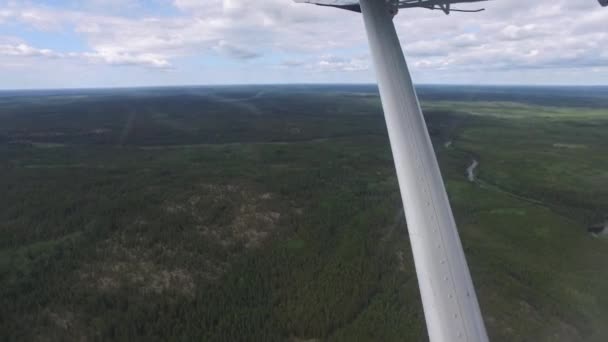 Skog Sedd Från Ett Flygplan — Stockvideo