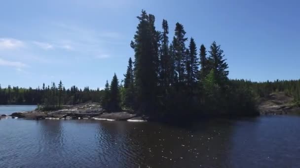 Meer Kust Met Bomen — Stockvideo